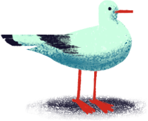 Bird4